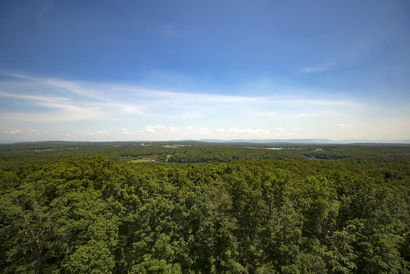 View from Pilot Knob Fire Tower